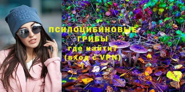 молекула духа Гусев