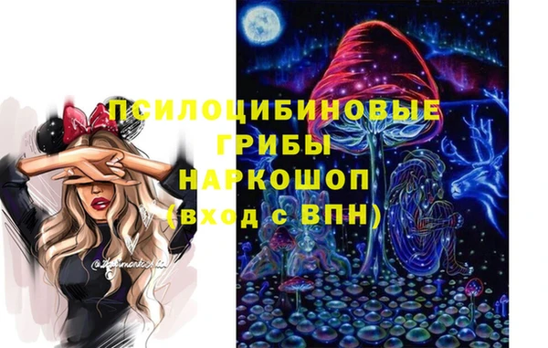 a pvp Дмитров
