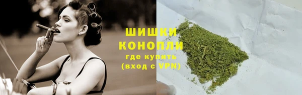 винт Дмитриев