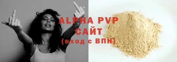 молекула духа Гусев