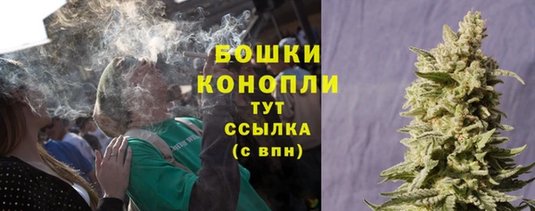 винт Дмитриев
