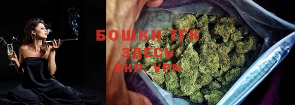 гидропоника Гусь-Хрустальный