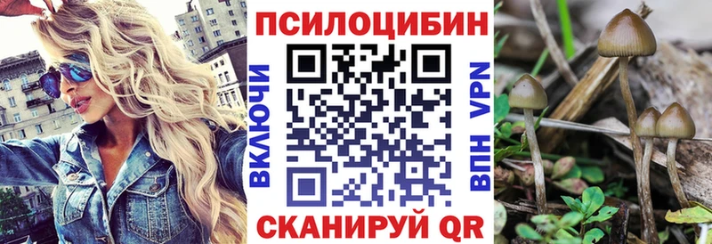 Галлюциногенные грибы Magic Shrooms  Донецк 