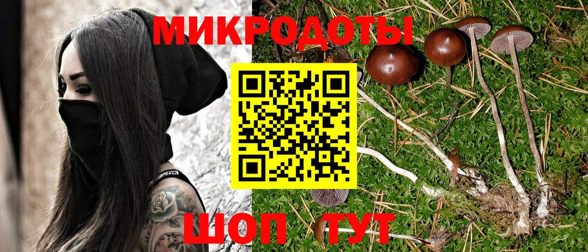 Донецк  Галлюциногенные грибы MAGIC MUSHROOMS  Вход с VPN 